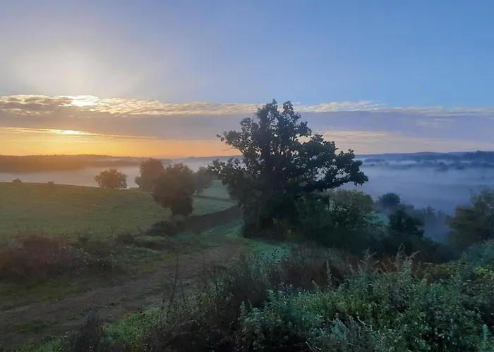 Rustique Avec Piscine Partagee Et Animaux Admis, 15 Pers - Fr-1-489-465 Dom wakacyjny Blomard